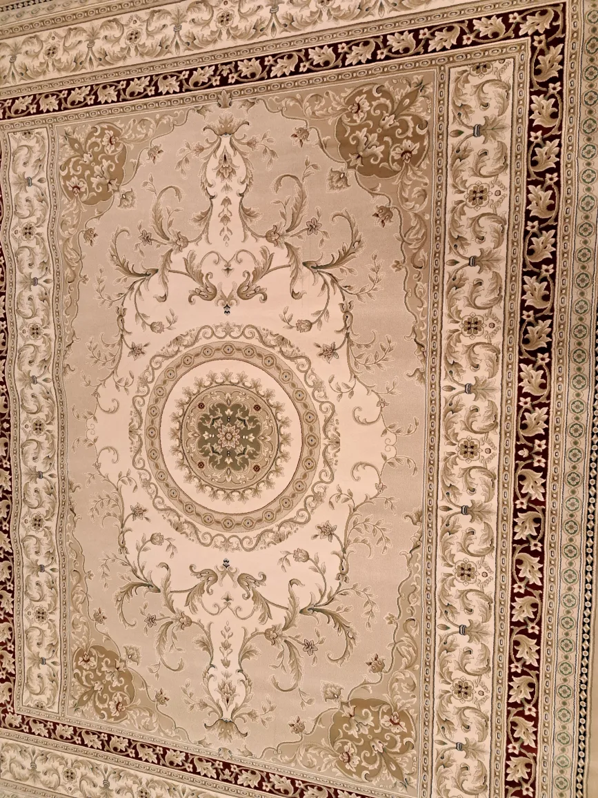 Elegant Large Size Area Rug Made in Belgium image indicator(7)