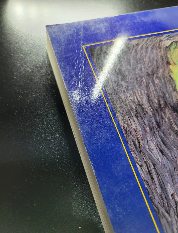 Van Gogh in Saint-Remy and Auvers by Ronald Pickvance (1987) image indicator(4)