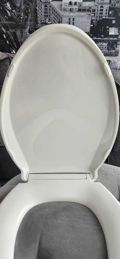 Kohler Night Light Toilet Seat image indicator(4)