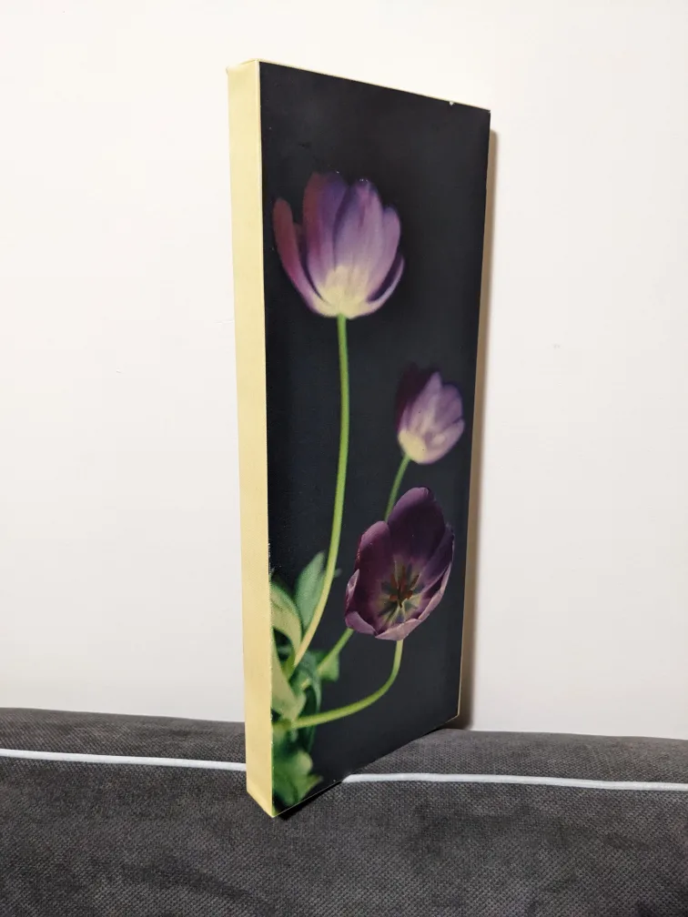 Purple Tulip Canvas Wall Art image indicator(2)