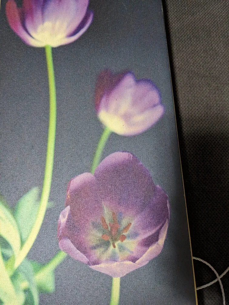 Purple Tulip Canvas Wall Art image indicator(3)