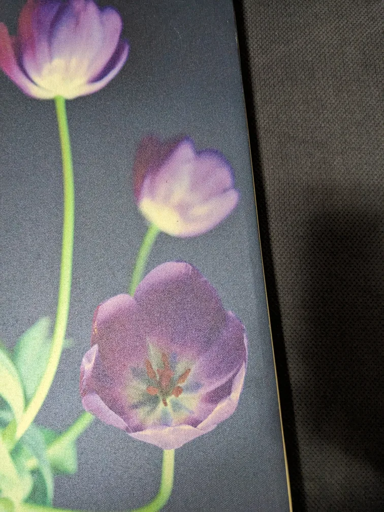 Purple Tulip Canvas Wall Art image indicator(4)