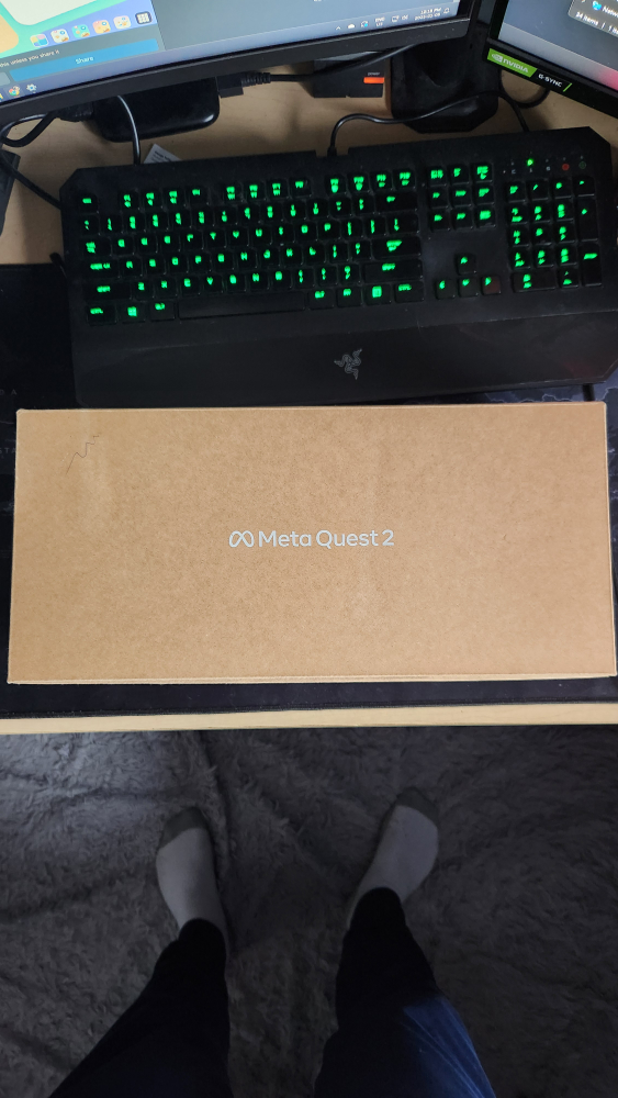 Meta Quest 2