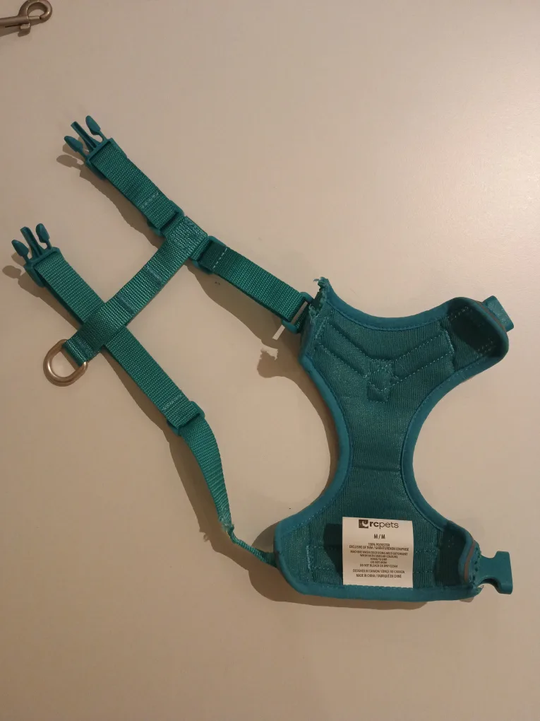 leash for cats image indicator(2)