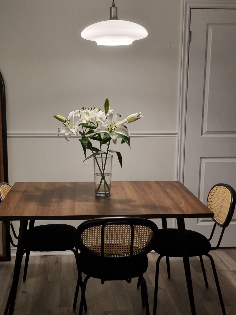 Mid-Century Modern Dining Table Set