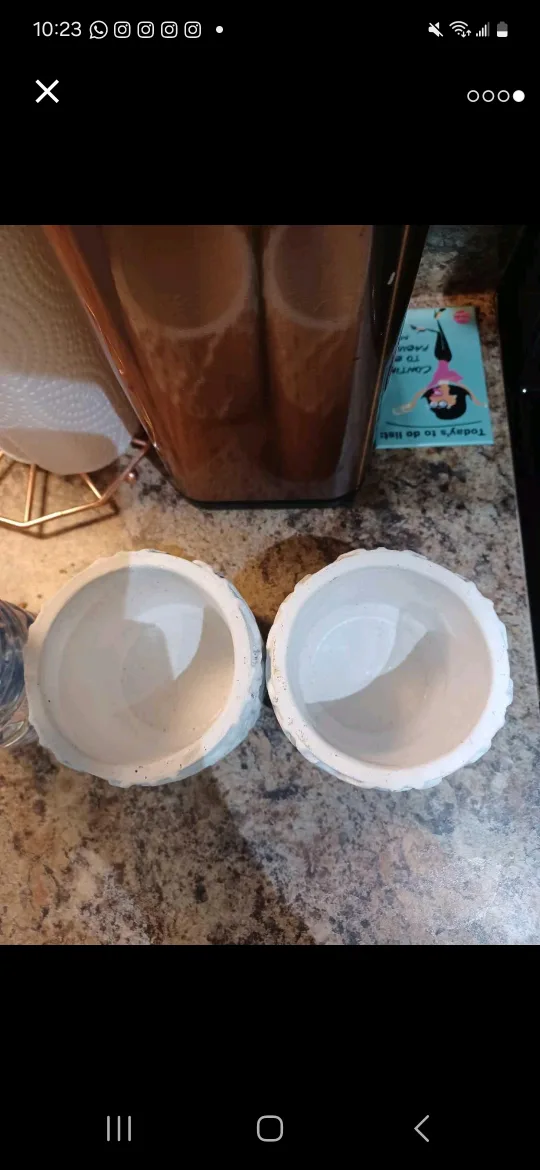 Set of 2 Small White Decorative Planters image indicator(4)