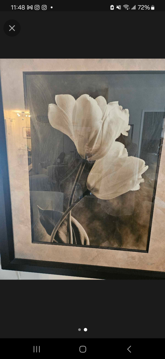 Large Framed Floral Wall Art