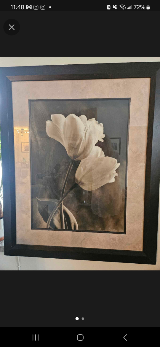 Large Framed Floral Wall Art - photo 2