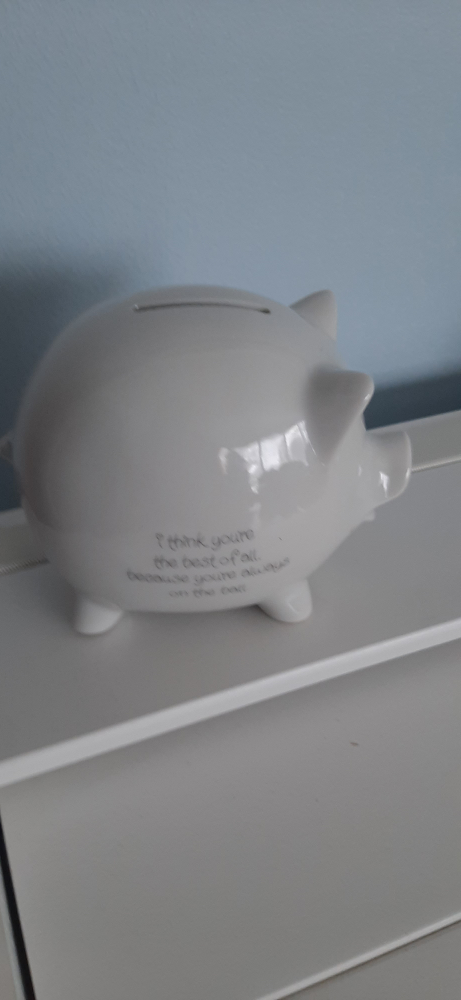 Piggy Bank Rare (Japan)