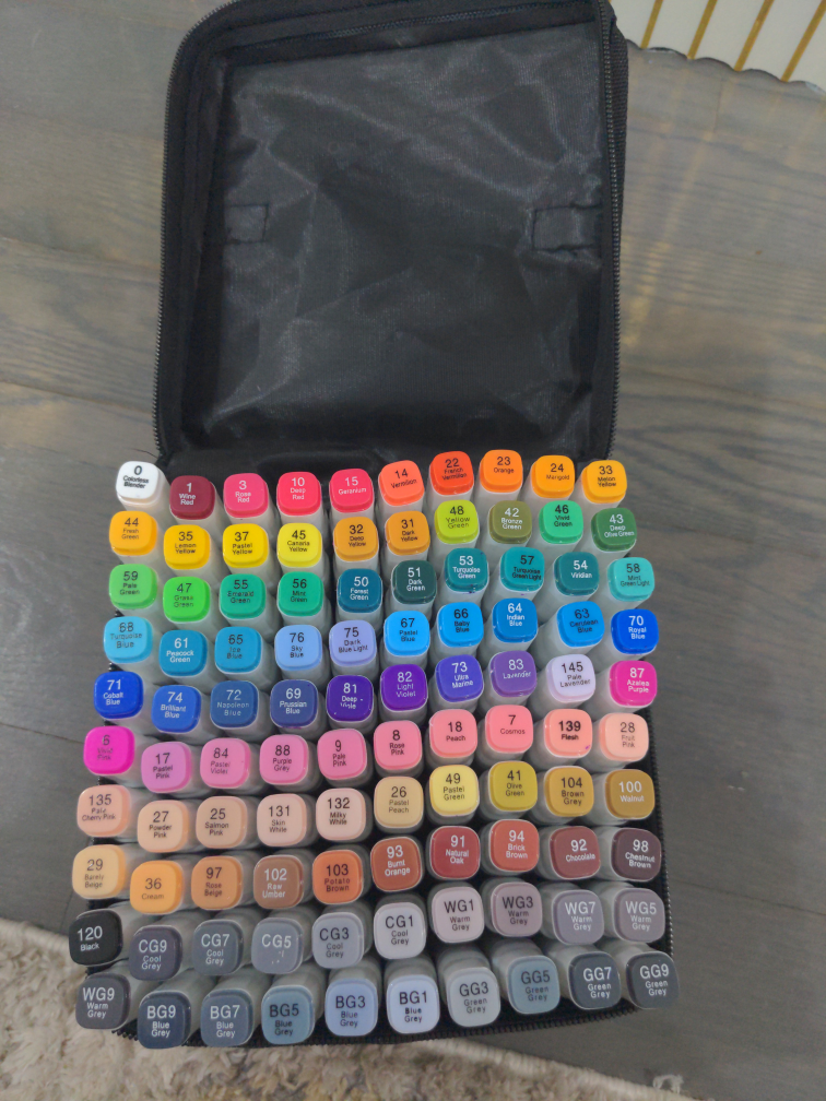 100 Pack Twin Markers with Case