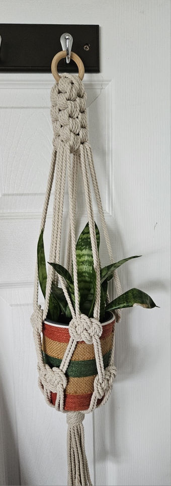 macreme plant hanging