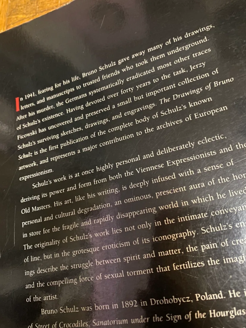 The Drawings of Bruno Schulz image indicator(2)