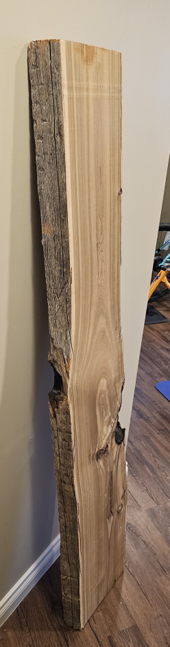 Live Edge Cedar Slab - Perfect for DIY Projects - photo 2