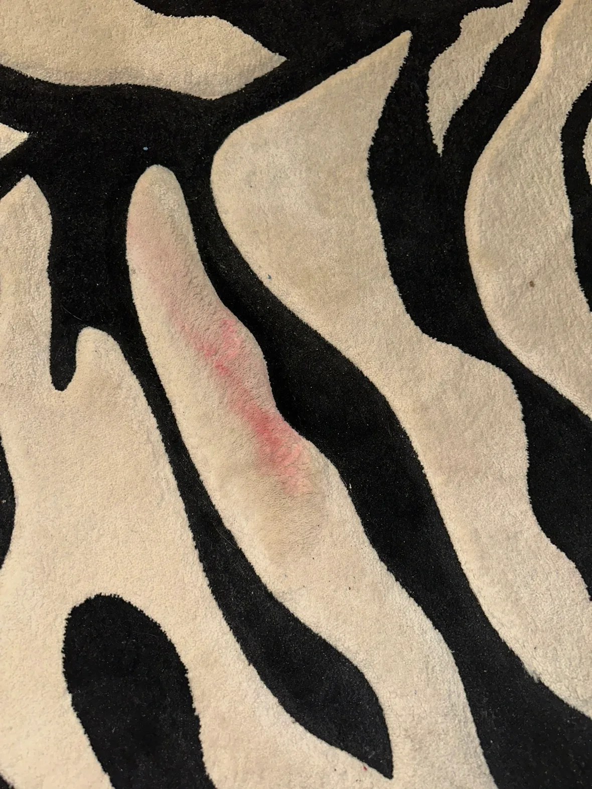 Black and White Zebra Area Rug image indicator(5)