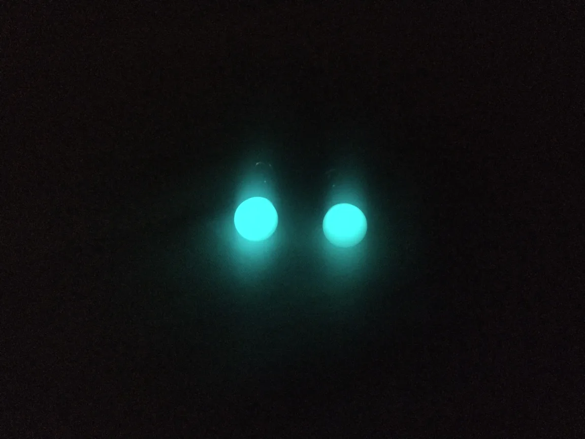 Glow in the dark .925 sterling silver earrings image indicator(3)