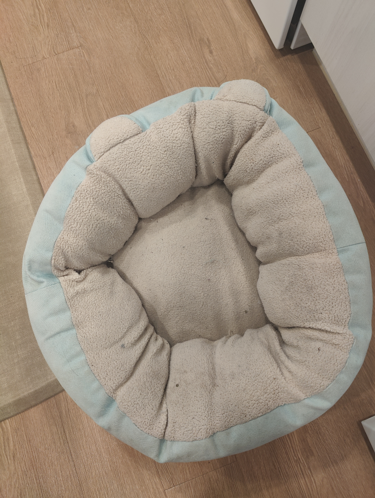 FREE Vesper Brand Dog Bed