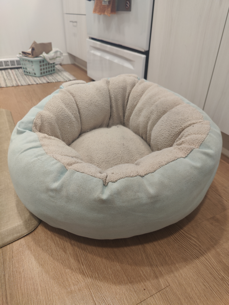 FREE Vesper Brand Dog Bed - photo 2