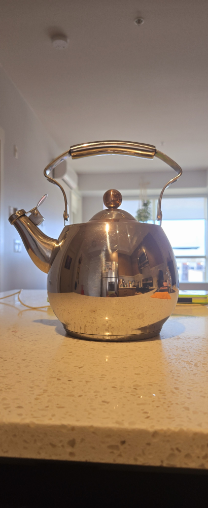 Stainless Steel Tea Kettle
