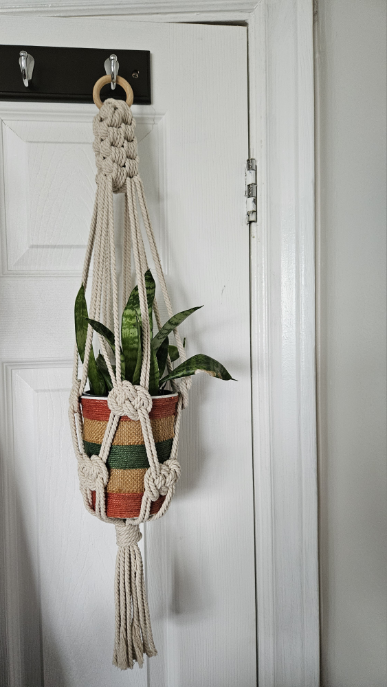 macreme plant hanging - photo 3