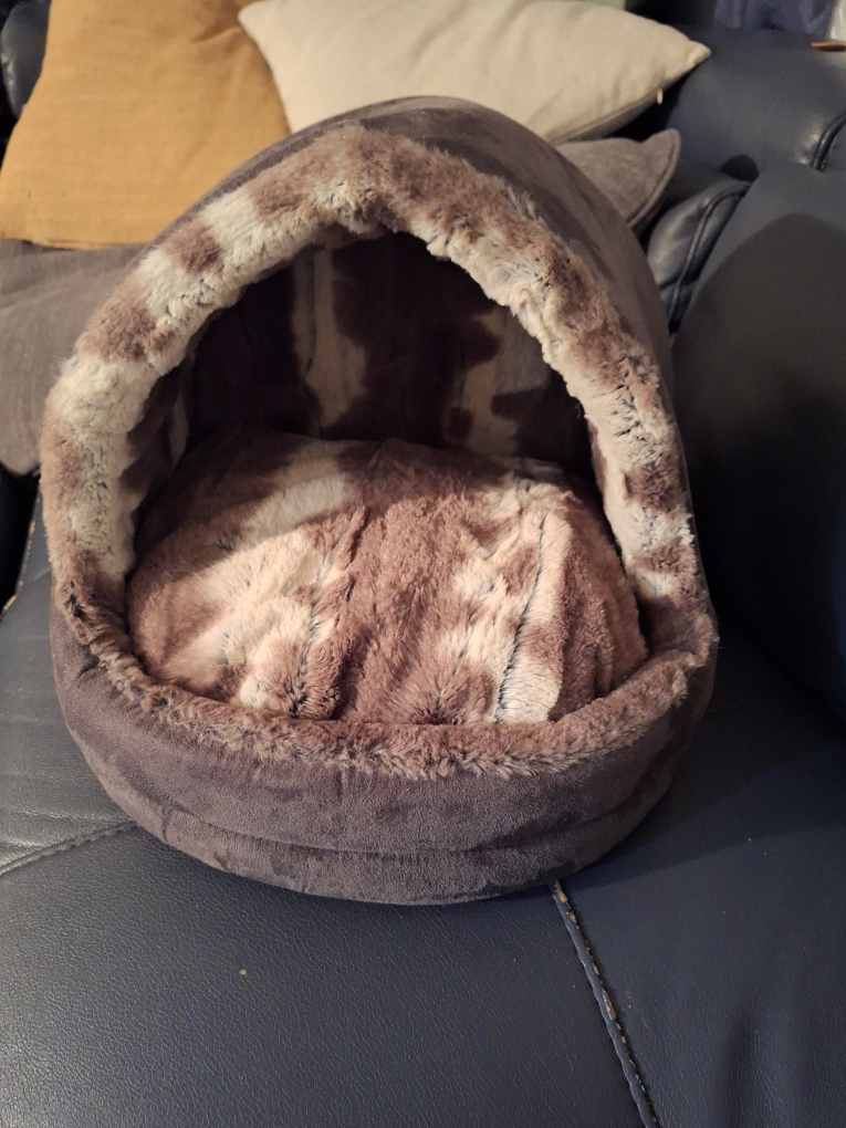 Bailey & Bella Companion Couture Pet Bed