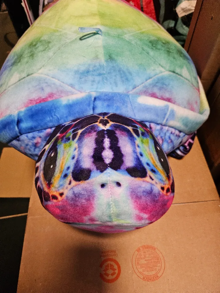 Turtle Plush Toy, backpack, toys, etc image indicator(3)