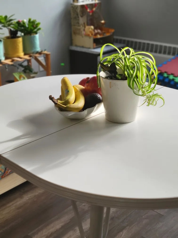 White Extendable Oval Table thumbnail