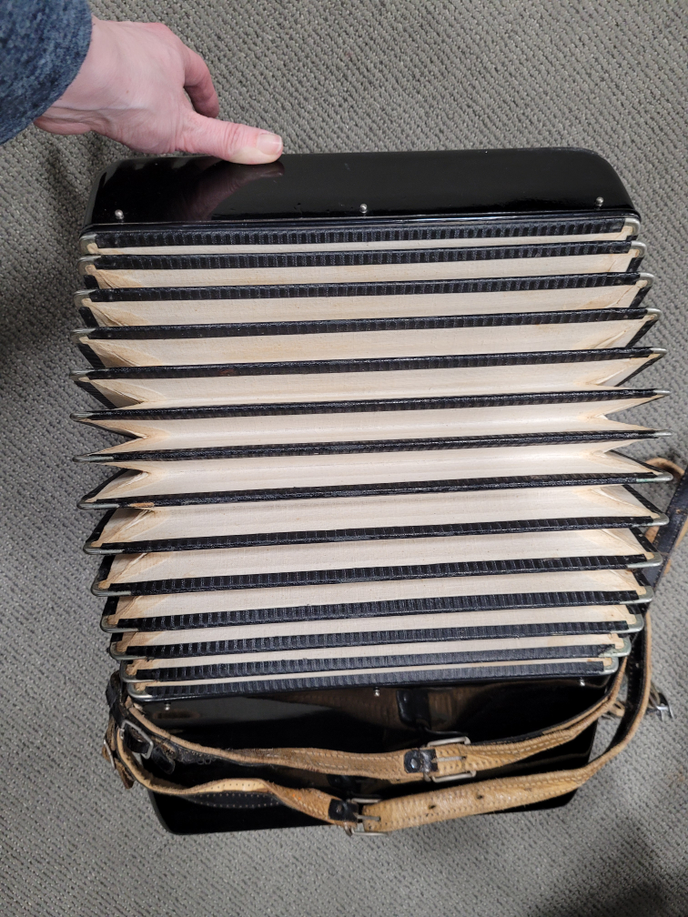 Vintage Camerano Accordion with half Case - photo 4