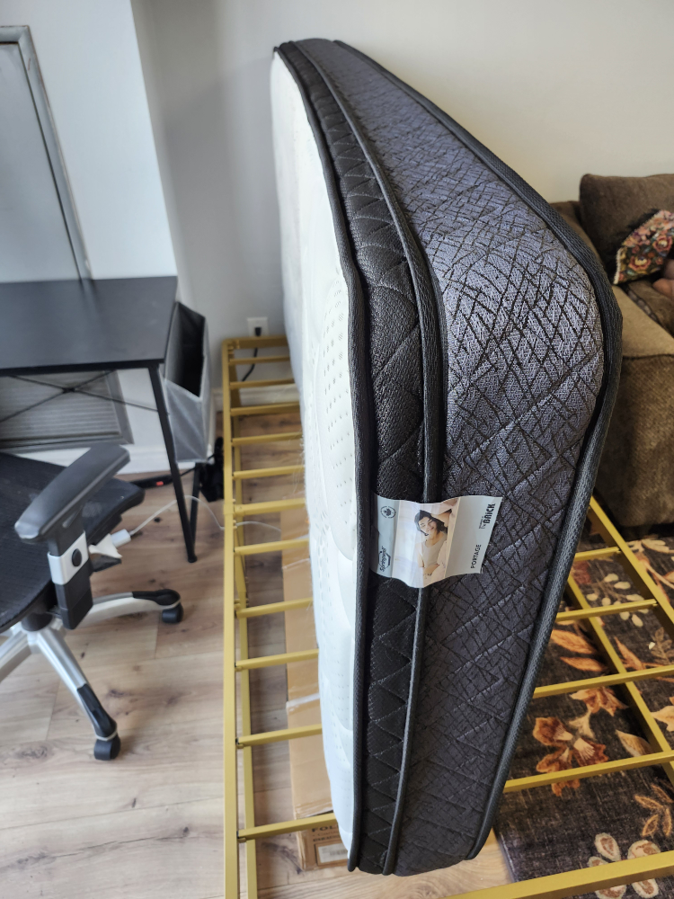 Twin Mattress - Urgent - photo 2