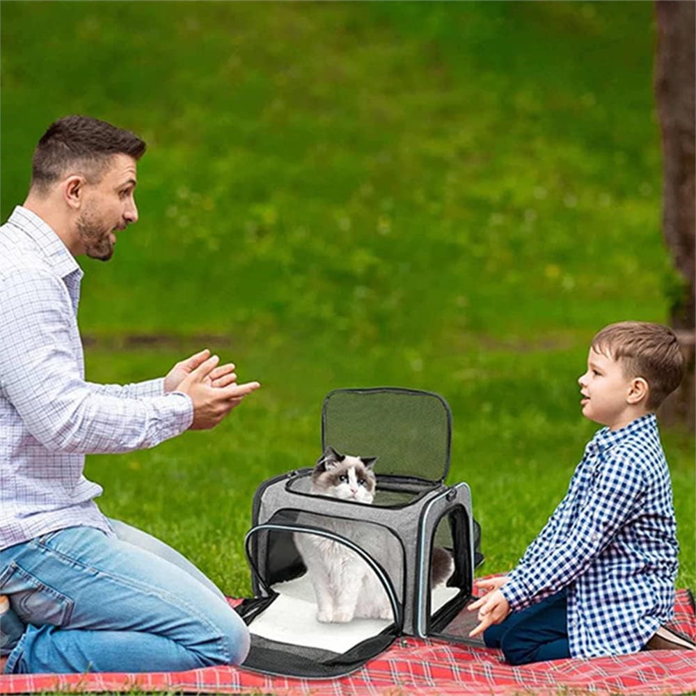 Dog or Cat Carrier Airline Approved Pet Soft-Sided Carriers - photo 3