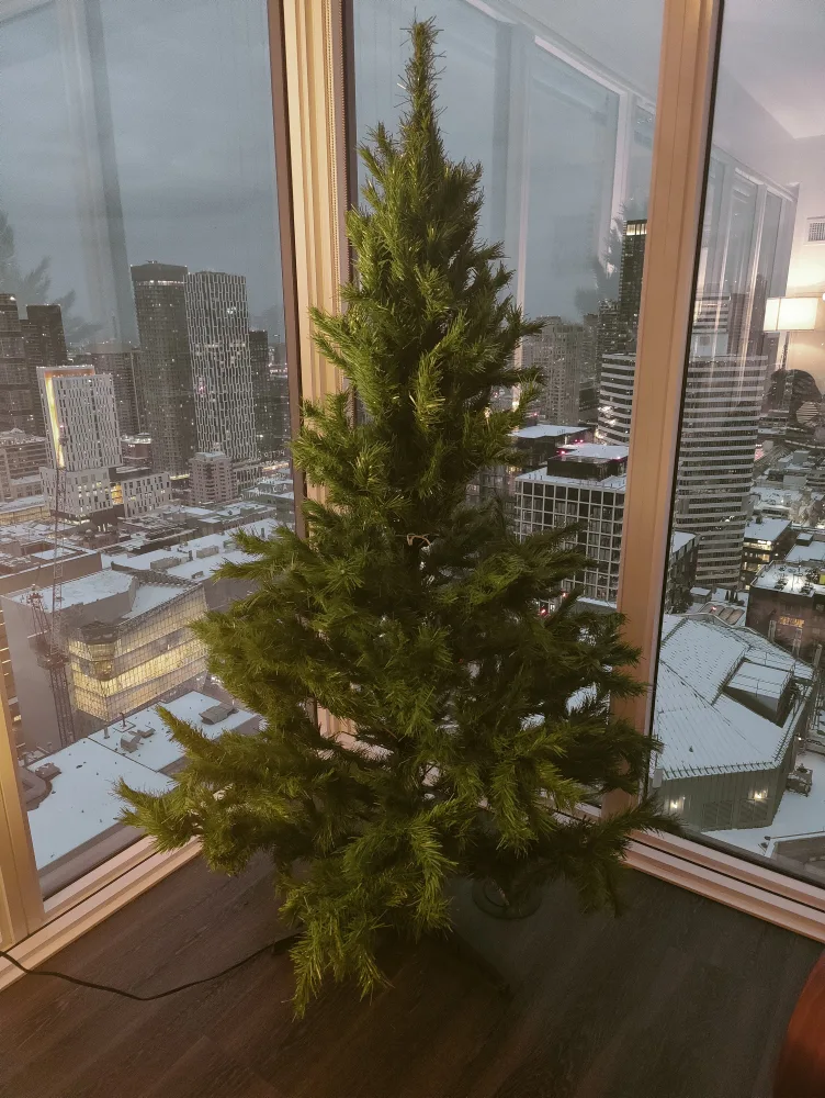 Christmas Decorations Bundle - Tree, Lights & Ornaments image indicator(4)