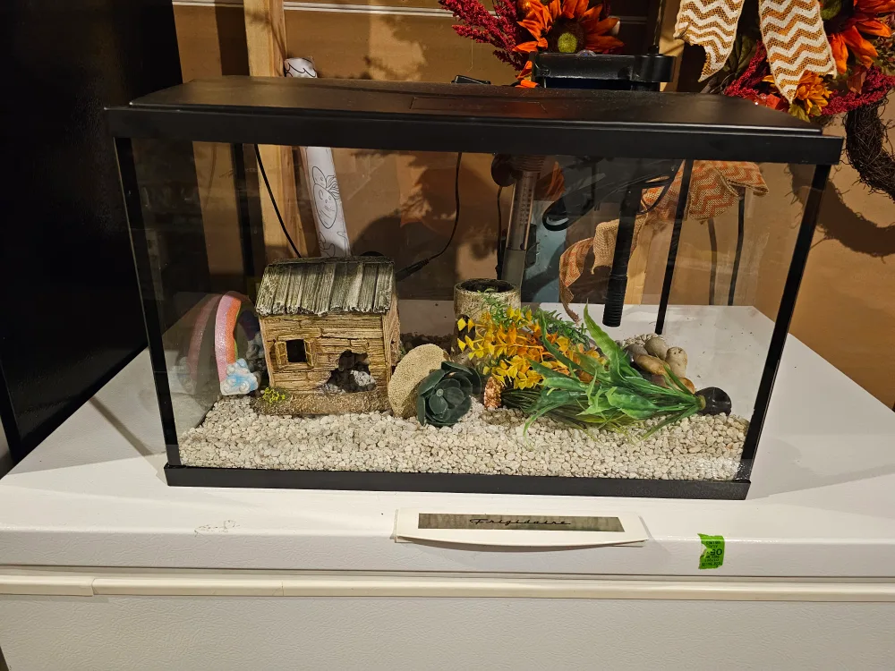 10 Gallon Small Fish Tank with Accessories image indicator(2)