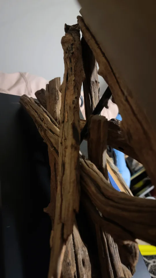 LAST PRICE!! Restoration Hardware driftwood table lamp image indicator(3)