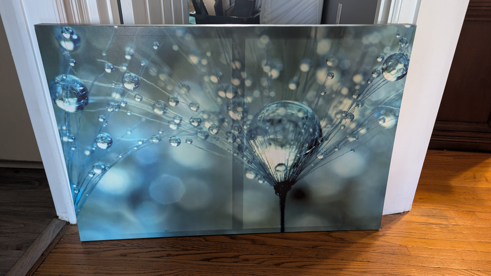 Canvas Wall Art - Blue Dewdrops