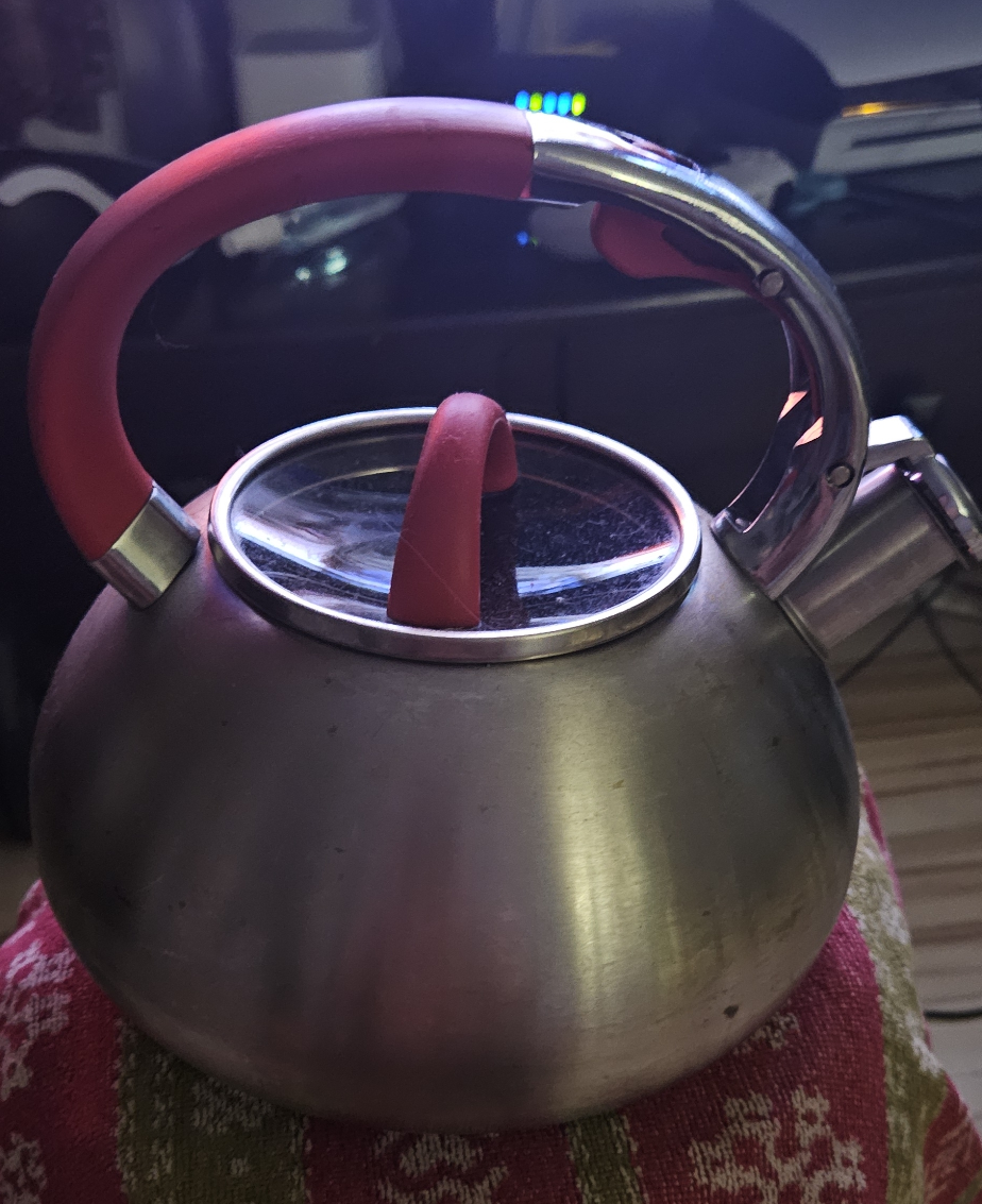 Stainless Steel Kettle with Red Handle