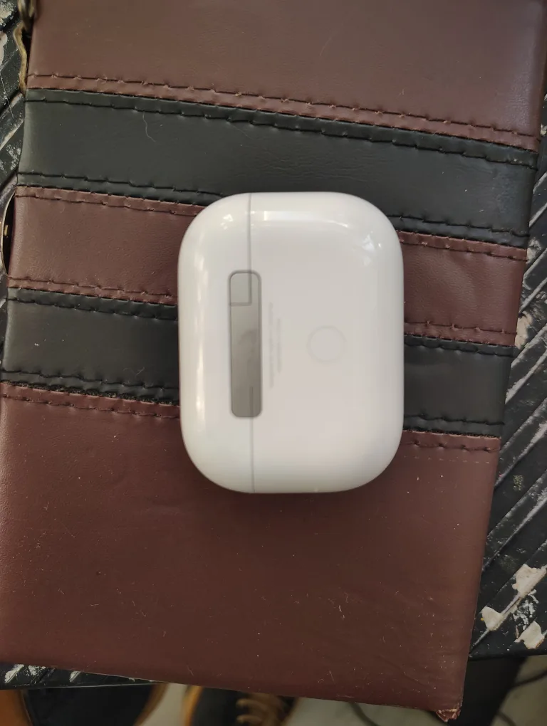 Apple AirPods pro Charging Case thumbnail