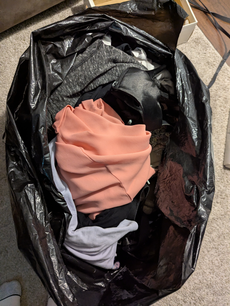 Bag of Women's Clothing - free