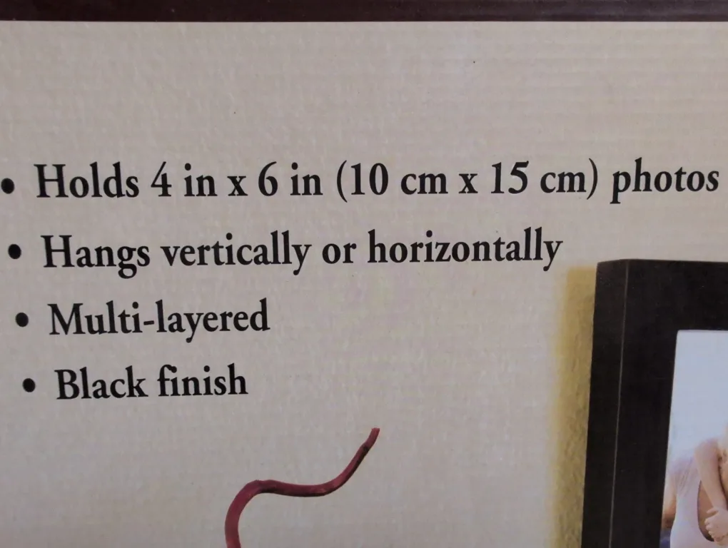 Black Picture Frame  Wall Collage - Loui Michel Cie image indicator(2)