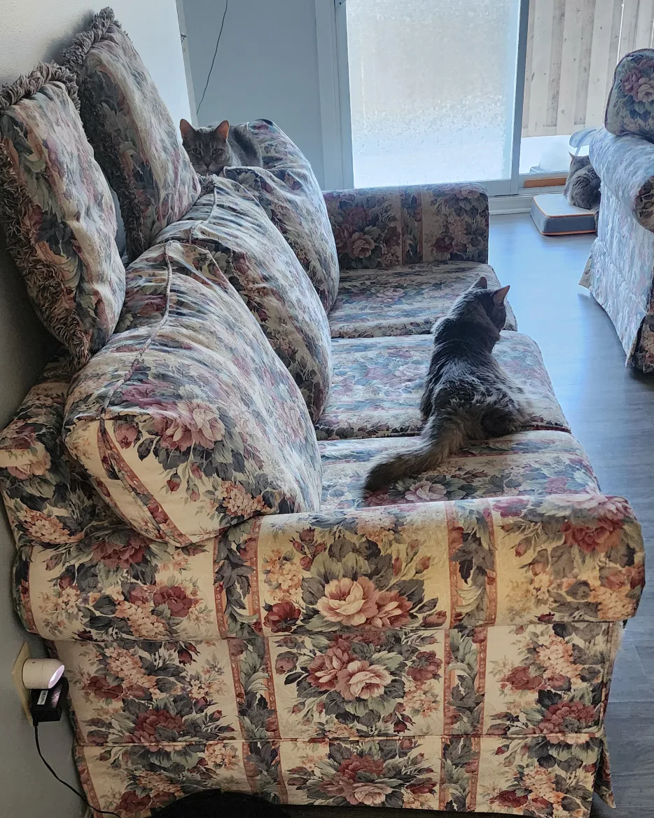 Floral Sofa Set image indicator(2)