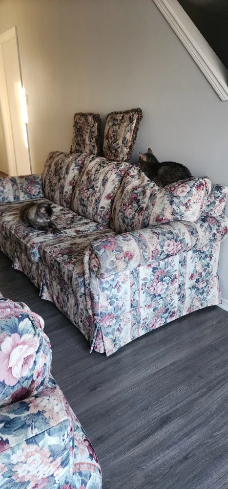 Floral Sofa Set image indicator(3)