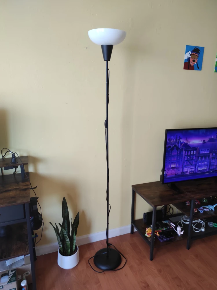 Black Floor Lamp with White Shade