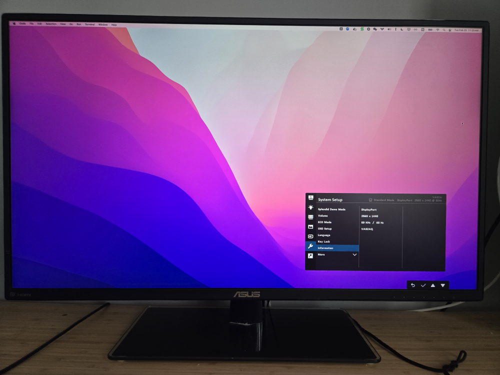 ASUS 32' 2k Monitor
