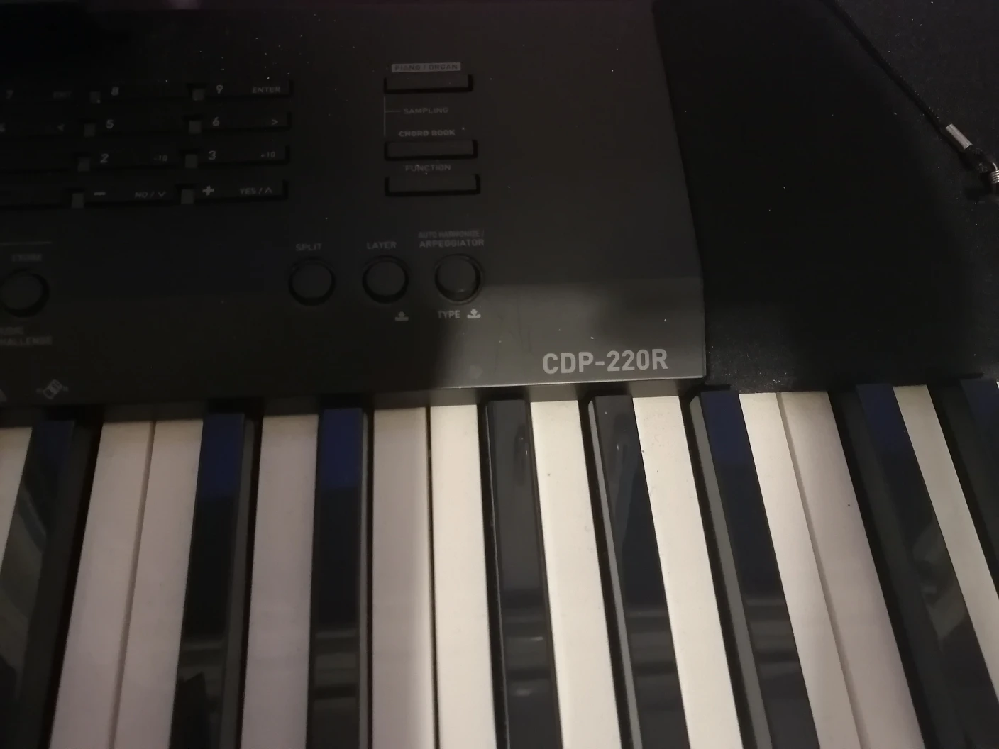 Casio CDP-220R 88-Key Digital Piano - photo 2