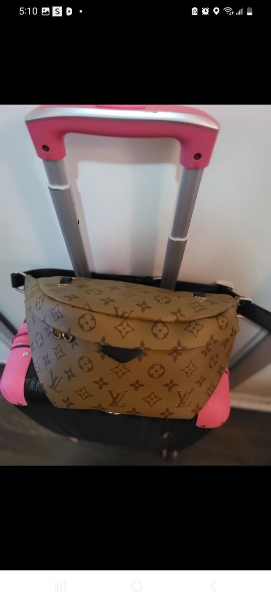 Monogram Waist Bag