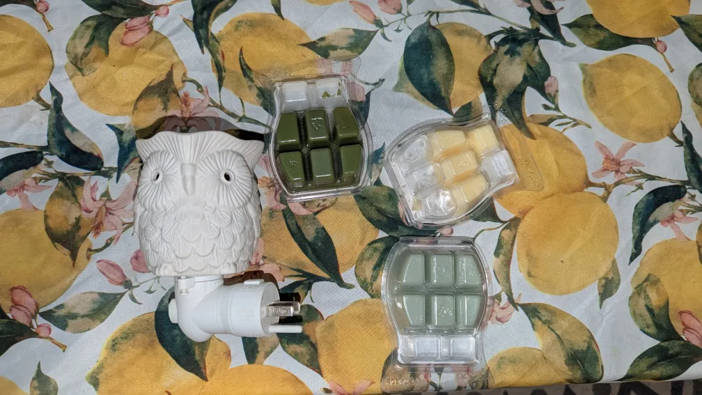 Plug-in Warmer with Wax Melts #DeclutterChallenge #WinWithUs image indicator(2)