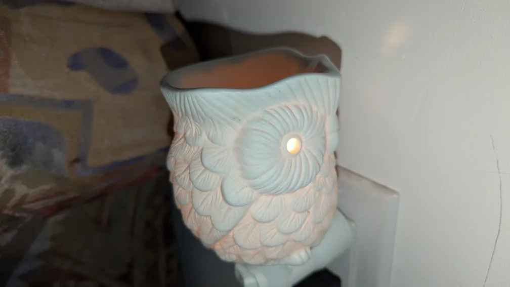 Plug-in Warmer with Wax Melts #DeclutterChallenge #WinWithUs image indicator(3)