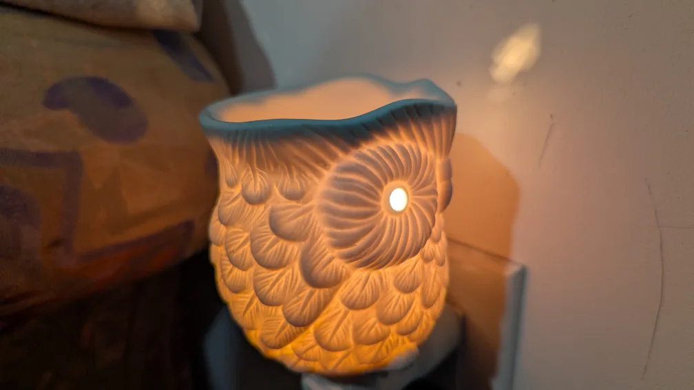 Plug-in Warmer with Wax Melts #DeclutterChallenge #WinWithUs image indicator(4)