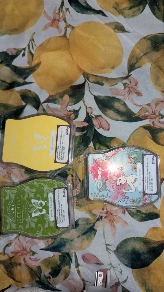 Plug-in Warmer with Wax Melts #DeclutterChallenge #WinWithUs image indicator(6)