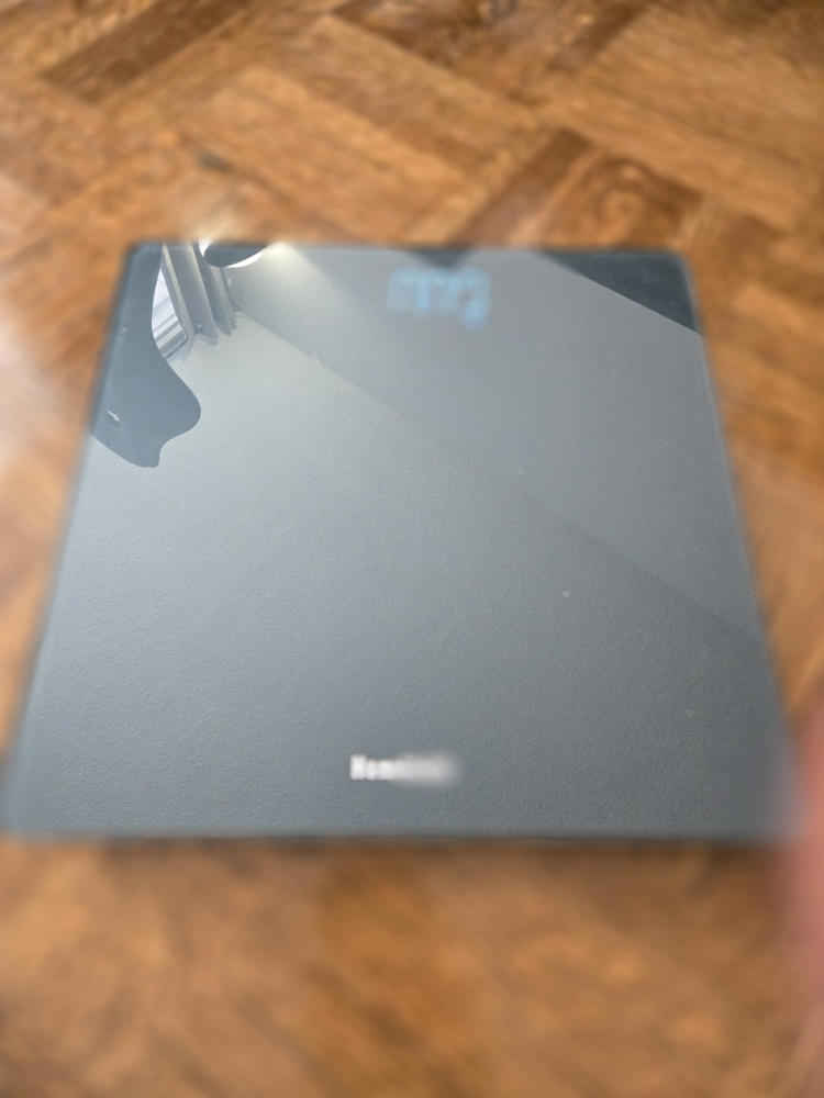 Homebuds Smart Scale - photo 2