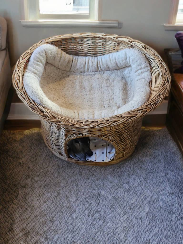 Wicker Pet Bed with Cushion