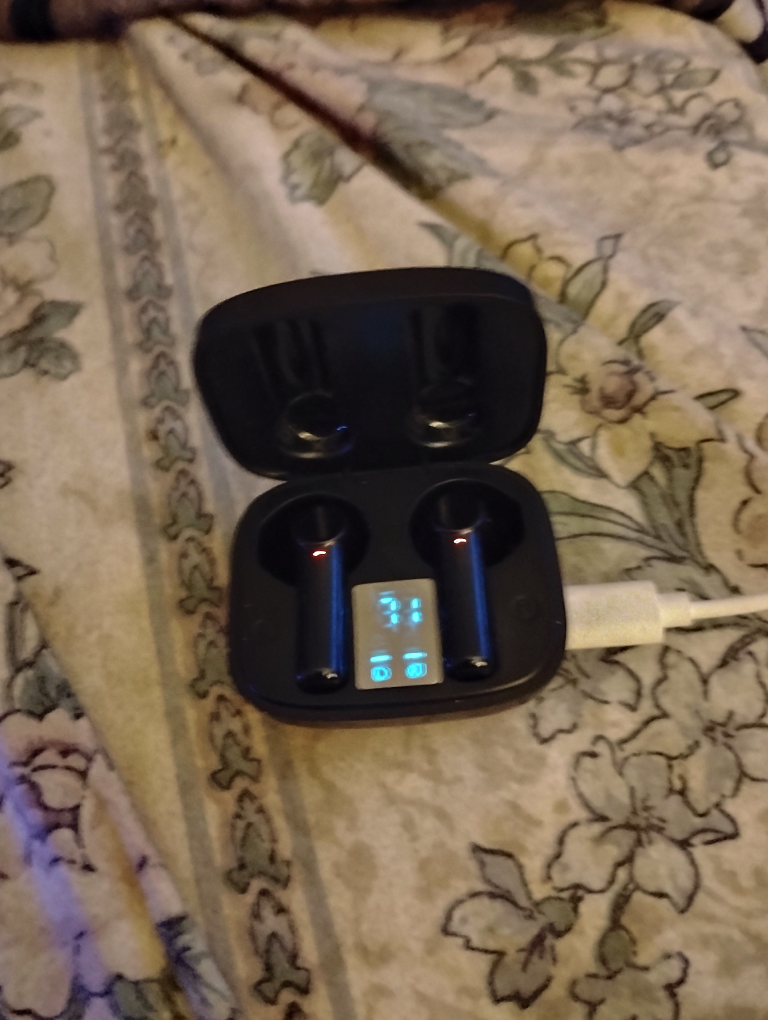 Wireless Bluetooth Earbuds with Charging Case